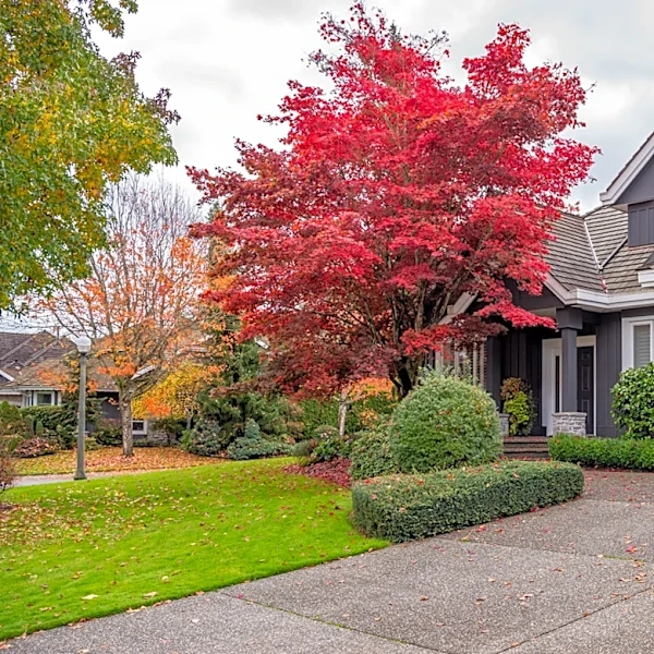 Do This To Your Driveway Before October Ends & Thank Yourself Later