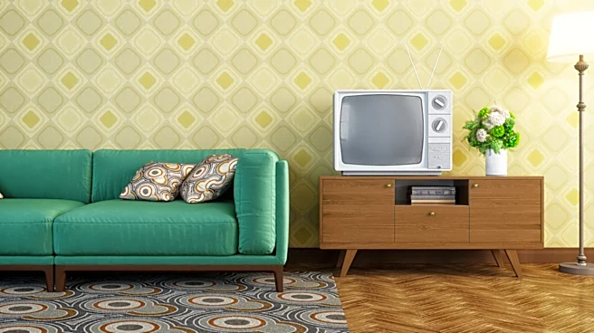 They Were In Every House In The '60s: The Funky Decor You'd Be Lucky To Find