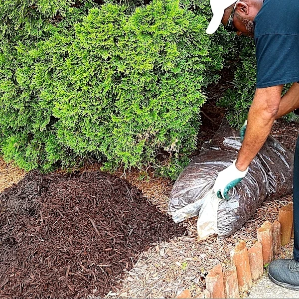16 Plants You Shouldn't Bother Mulching