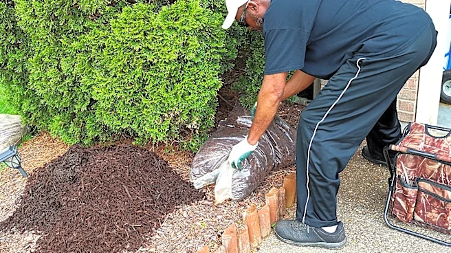 16 Plants You Shouldn't Bother Mulching