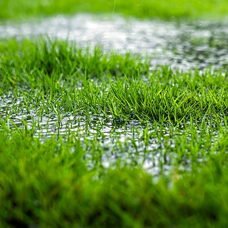 Can You Aerate A Wet Lawn?