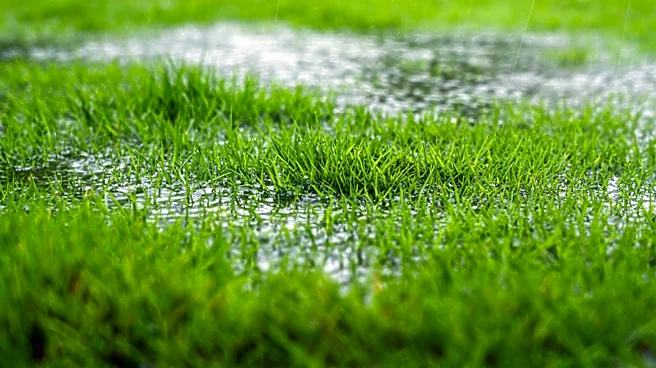 Can You Aerate A Wet Lawn?