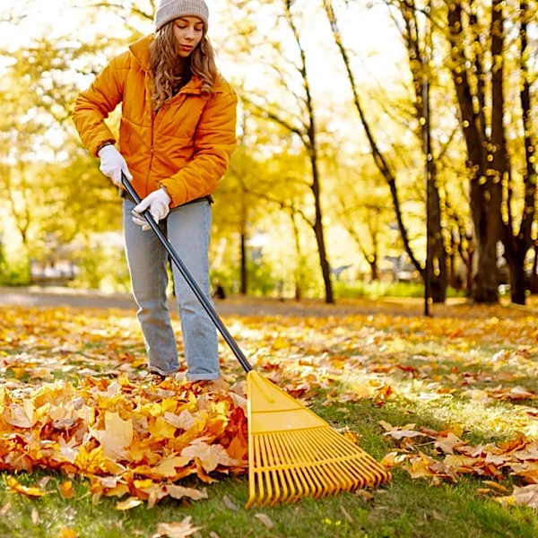 Goodbye Traditional Rakes: The Amazon Alternative For Quicker Leaf Clean-Up
