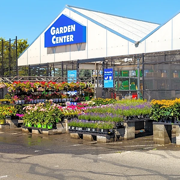 What Does Lowe's Do With Leftover Plants?