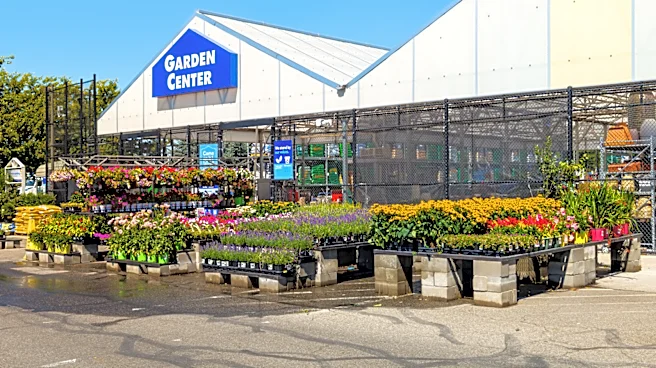 What Does Lowe's Do With Leftover Plants?