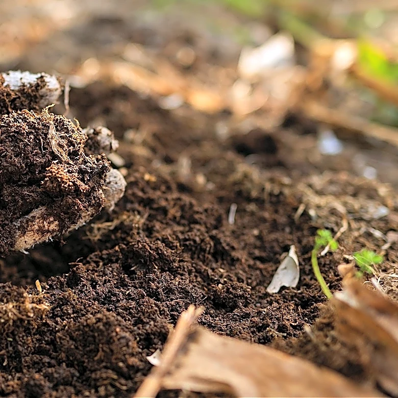 How To Reduce The Amount Of Nitrogen In Your Soil With Mulch (Not Chips Or Straw)