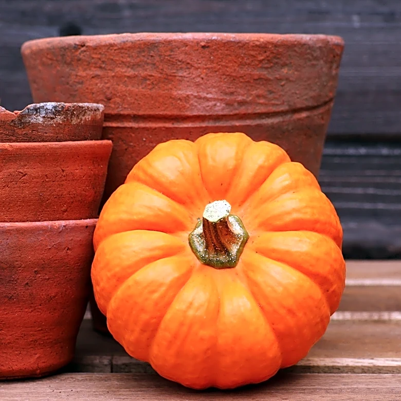 Reuse Terracotta Pots To Make The Cutest Halloween Decor