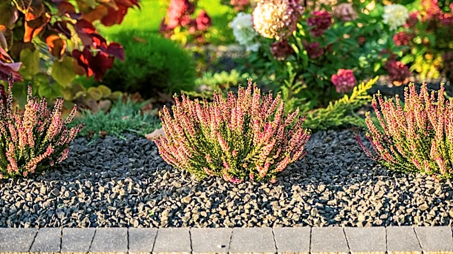 Better Looking Than Pea Gravel: The Vibrant, Modern Alternative That Makes Garden Beds Pop