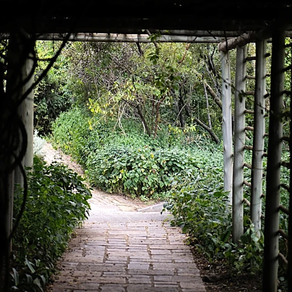 No Need For Pricey Lights — Use Tuna Cans And Glass Jars To Brighten Garden Paths