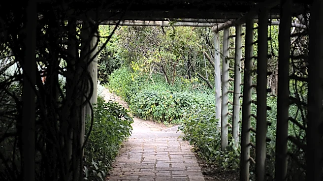No Need For Pricey Lights — Use Tuna Cans And Glass Jars To Brighten Garden Paths