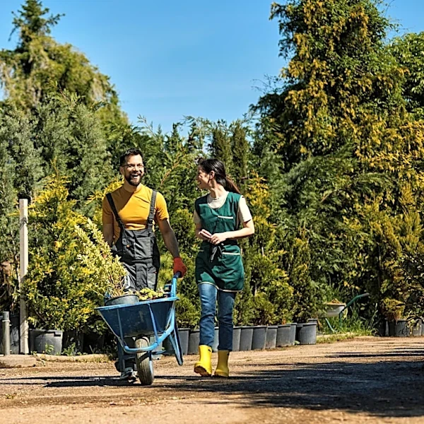 Gardeners Who Love The Smell Of Peanut Butter Should Be Growing This Tree