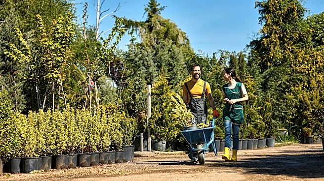 Gardeners Who Love The Smell Of Peanut Butter Should Be Growing This Tree