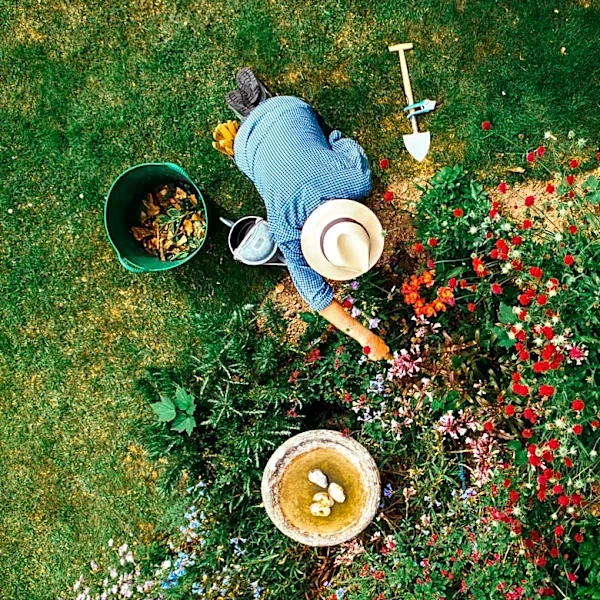 It's Not Phlox: The Old-Fashioned Pink Perennial Gardeners Used To Attract Pollinators