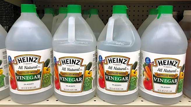Spraying Your Walls With Vinegar: What It's For And Why It's Recommended