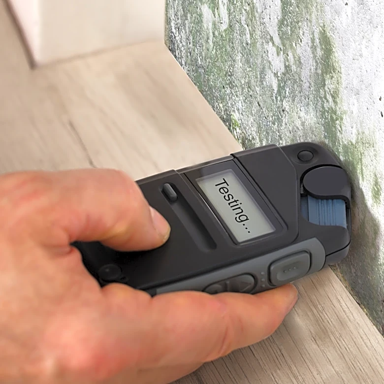 Can A Handheld Moisture Meter Tell If A Wall Stain Is Still Wet?