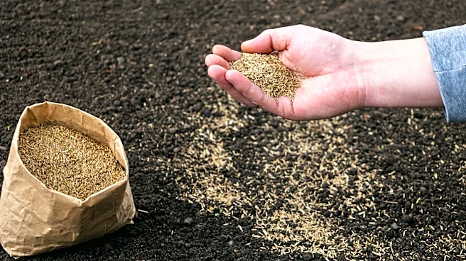 Don't Risk It With Basic Grass Seed: This Modern Alternative From Amazon Makes It Easier