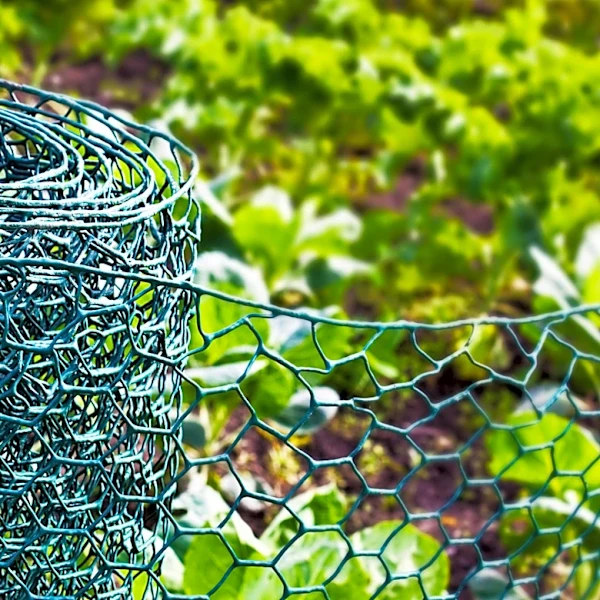 Woman Uses Chicken Wire To DIY Rustic Cloches That Protect Potted Plants From Squirrels & Birds