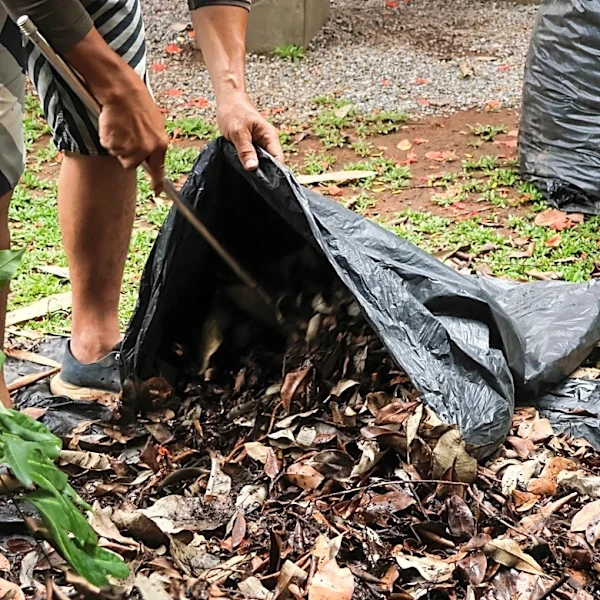 Stop Wasting Trash Bags: The Reusable Find From Lowe's For Cleaning Up Leaves