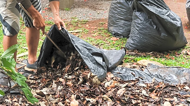 Stop Wasting Trash Bags: The Reusable Find From Lowe's For Cleaning Up Leaves