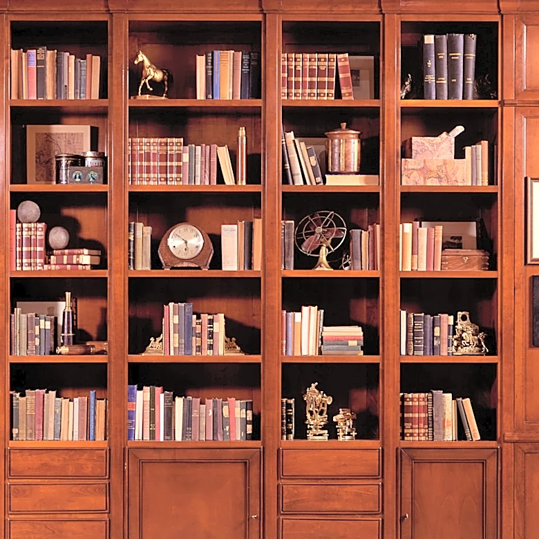 She Hid A Guest Bed In Her Library (See How She Managed It)