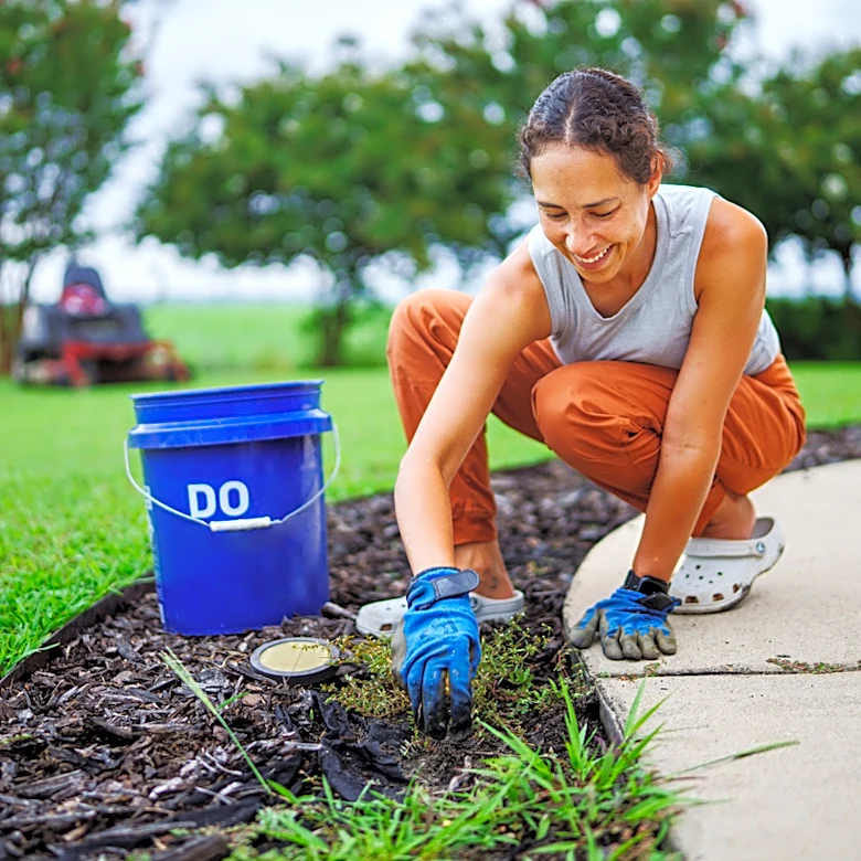 Skip The Hacks And DIYs: Keep Grass Out Of Mulch With An Affordable Spray