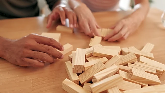 Woman Uses One Dollar Tree Board Game To Build A Charming Planter