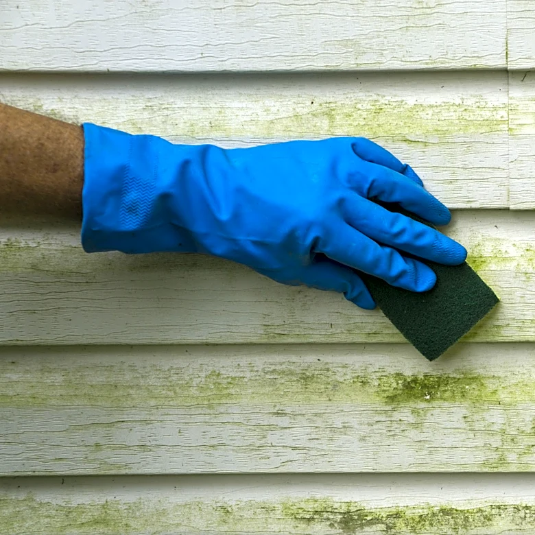 The $0 Solution For Cleaning Mold And Algae From Vinyl Siding