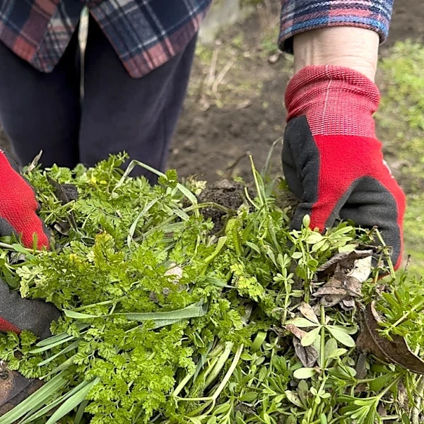 Say Goodbye To Weeds With A Lightweight, Easy To Use Tool From Ryobi