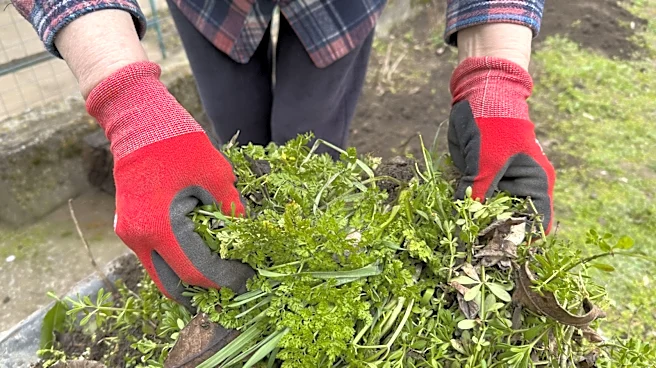 Say Goodbye To Weeds With A Lightweight, Easy To Use Tool From Ryobi