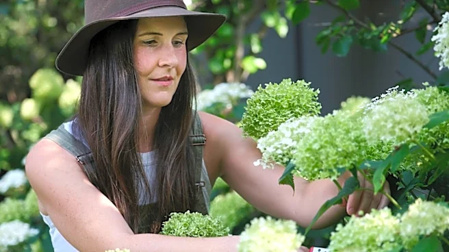 The Evolution Of Home Gardens Throughout History
