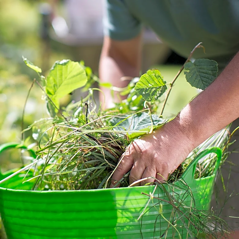 Ditch The Garden Hoe: Remove Weeds With An Easy-To-Use Tool At Home Depot