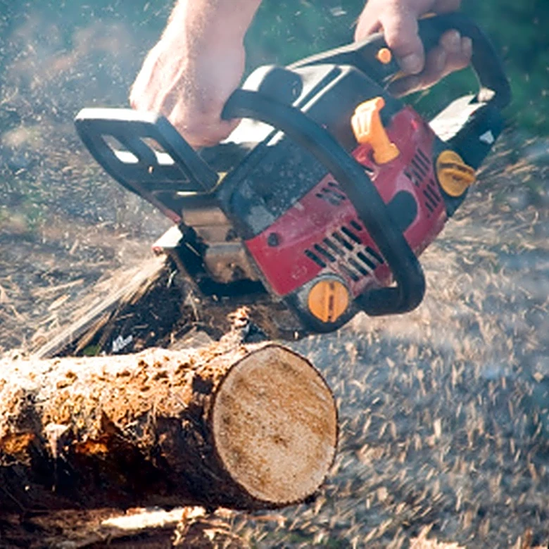 Quickly Sharpen Your Chainsaw Blade Efficiently With A Portable Amazon Find