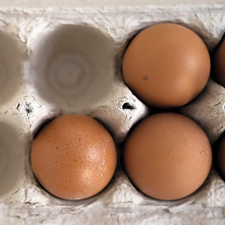 Use Glue To Transform An Egg Carton Into The Cutest DIY Fox Decor For Your Patio