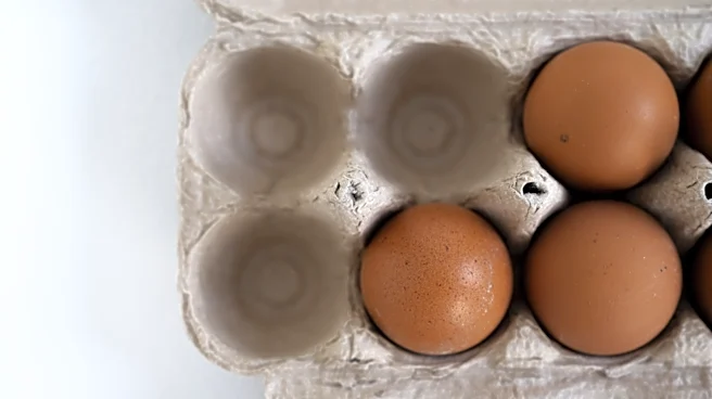 Use Glue To Transform An Egg Carton Into The Cutest DIY Fox Decor For Your Patio