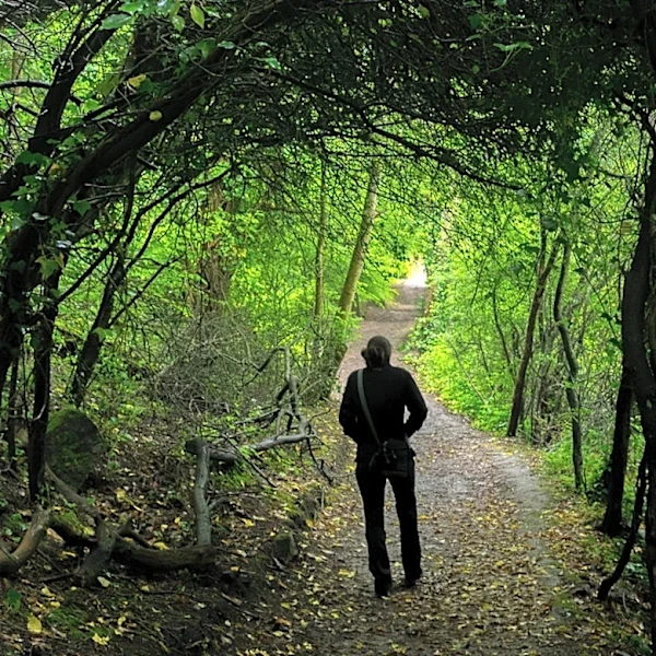 Skip Basic String Lights: Brighten Walkways And Garden Paths With DIY Plastic Pipe Lanterns