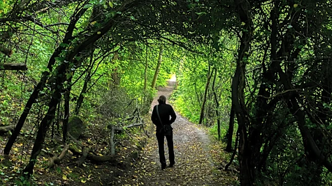 Skip Basic String Lights: Brighten Walkways And Garden Paths With DIY Plastic Pipe Lanterns