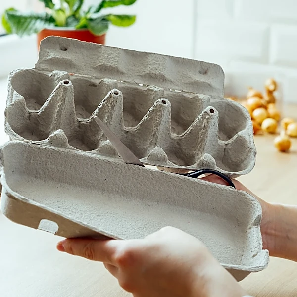 You Can Turn An Egg Carton Into Pretty 3D Flower Wall Art