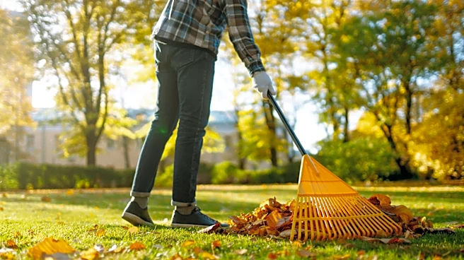 Say Goodbye To Traditional Rakes: The Easy-To-Use Tool On Amazon That Stores So Easily