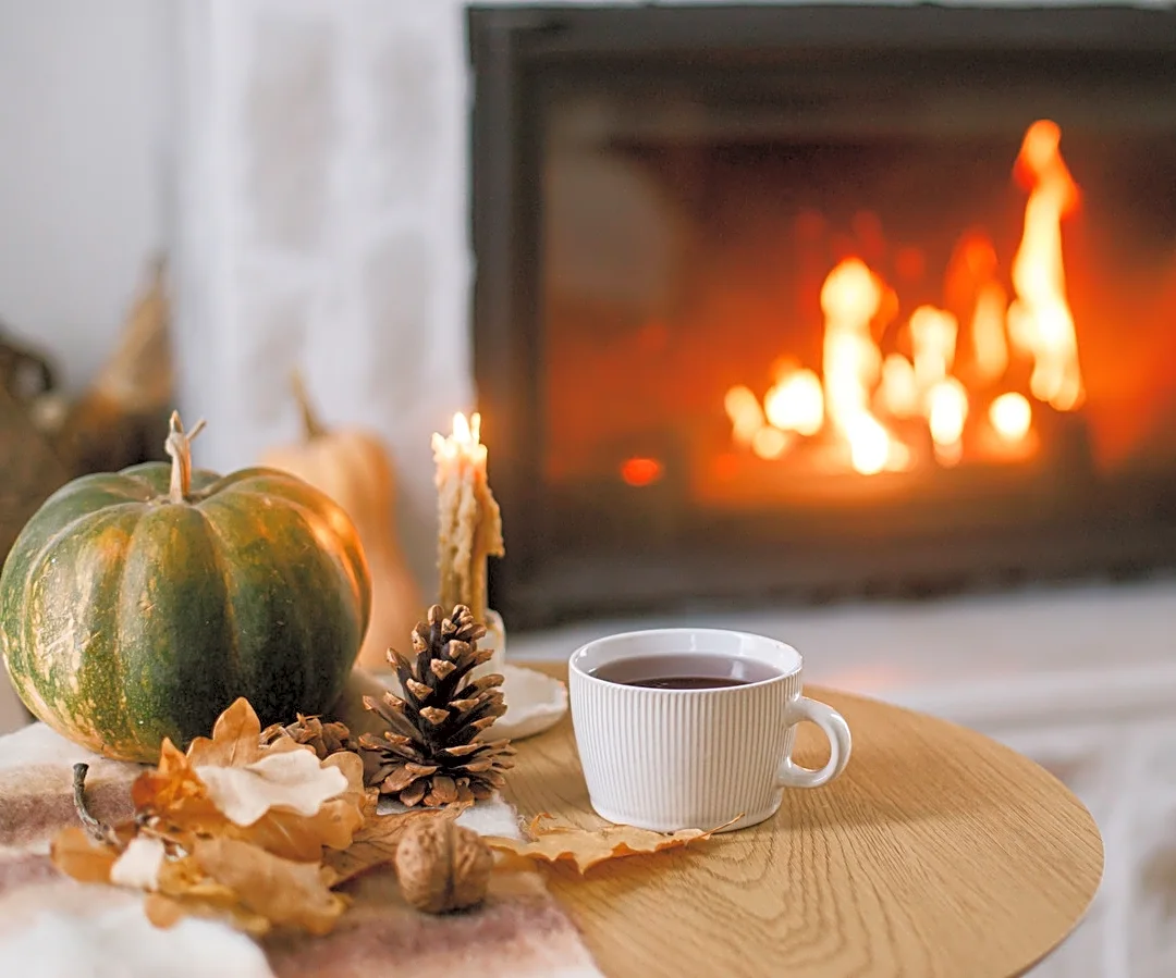 8 Best New Home & Decor Aldi Finds Of October 2026