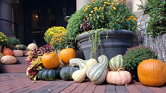 Stop Tossing Old Front Porch Gourd Decor — Use Them To DIY Cozy Fall Candles