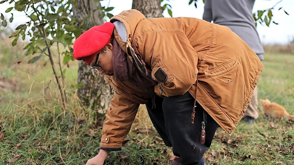 No More Bending: The Easy-To-Use Tool To Pick Up Annoying Yard Debris
