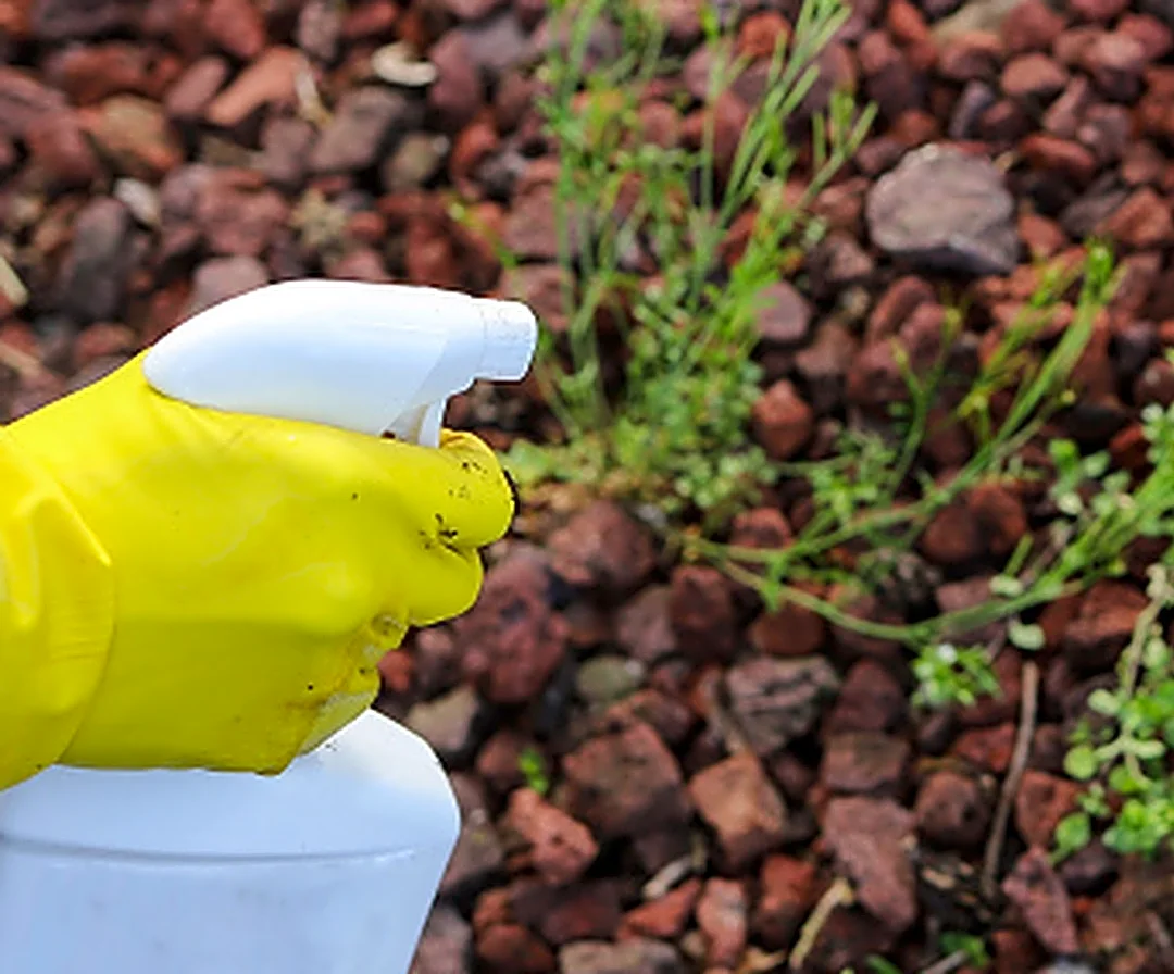 How Long Can Weed Killer Last Before It Goes Bad?