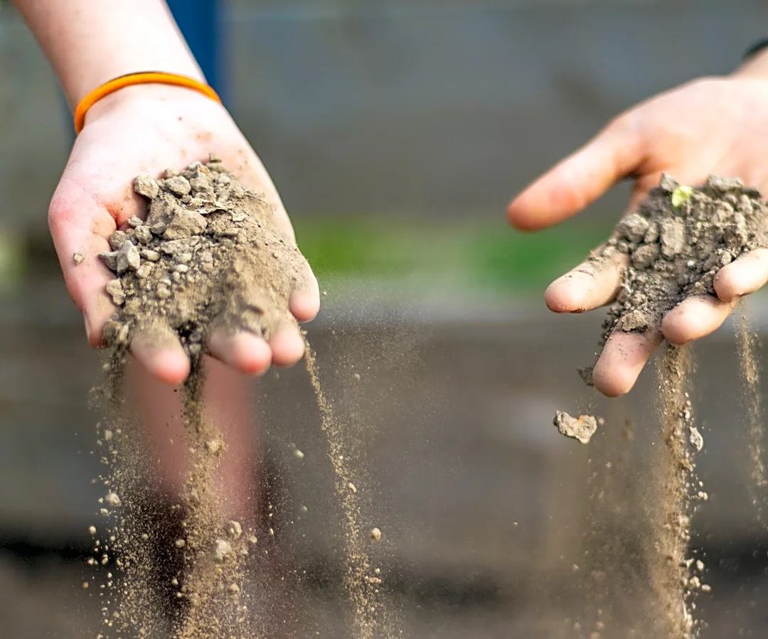 Easily Remove Gravel From Garden Beds With A Handheld Find From Amazon