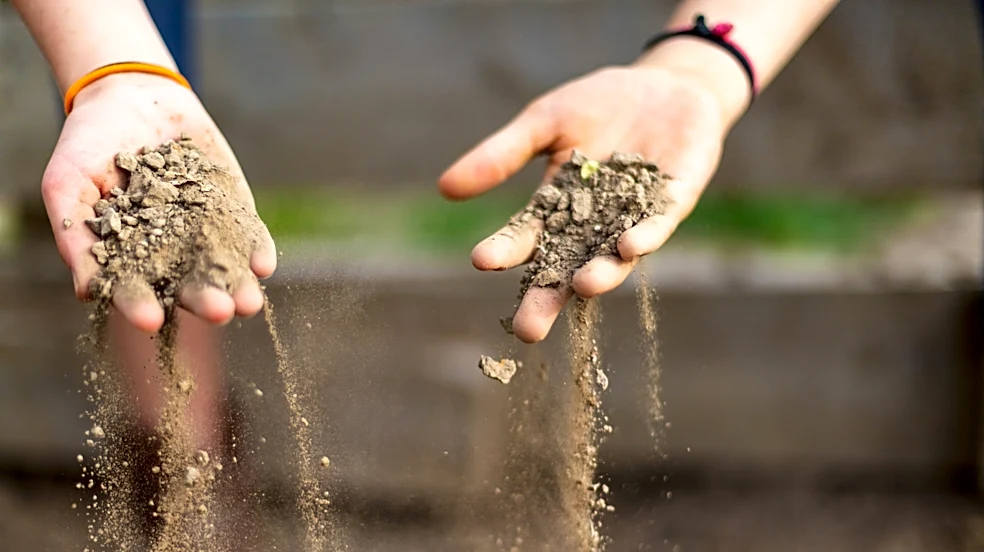 Easily Remove Gravel From Garden Beds With A Handheld Find From Amazon