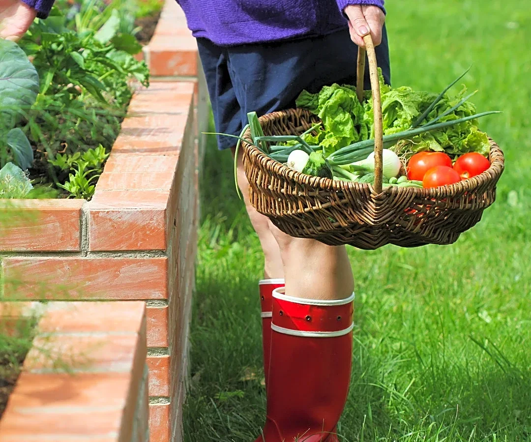 More Durable Than Standard Brick: The Long-Lasting Alternative For Garden Beds