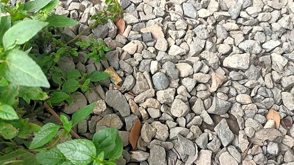 No Hand-Pulling: Keep Gravel Driveways Weed-Free With A Find From Harbor Freight