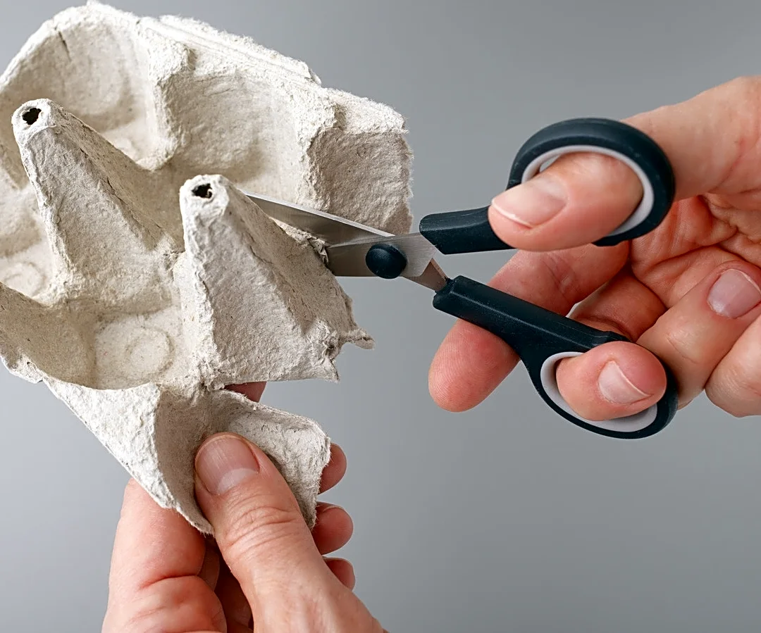 You'd Never Guess This Beautiful Decorative Peacock Started As An Egg Carton