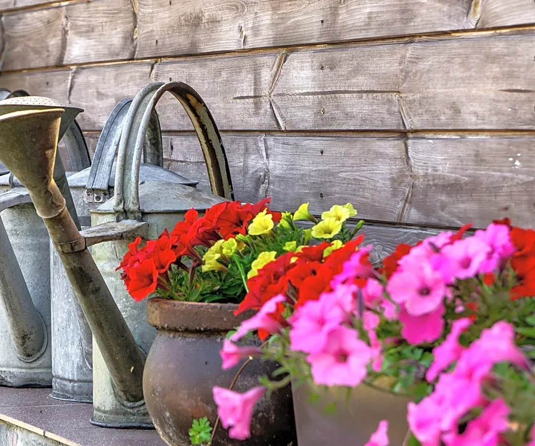 Use Old Watering Cans To DIY A Rain Chain Full Of Charm