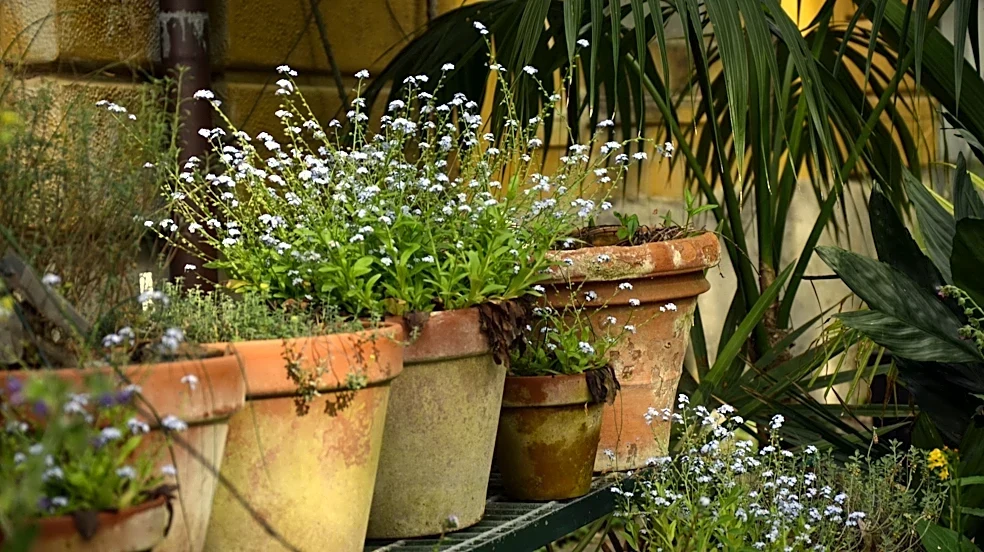Stop Tossing Old Terracotta Pots: Make A Classier Patio Beverage Cooler