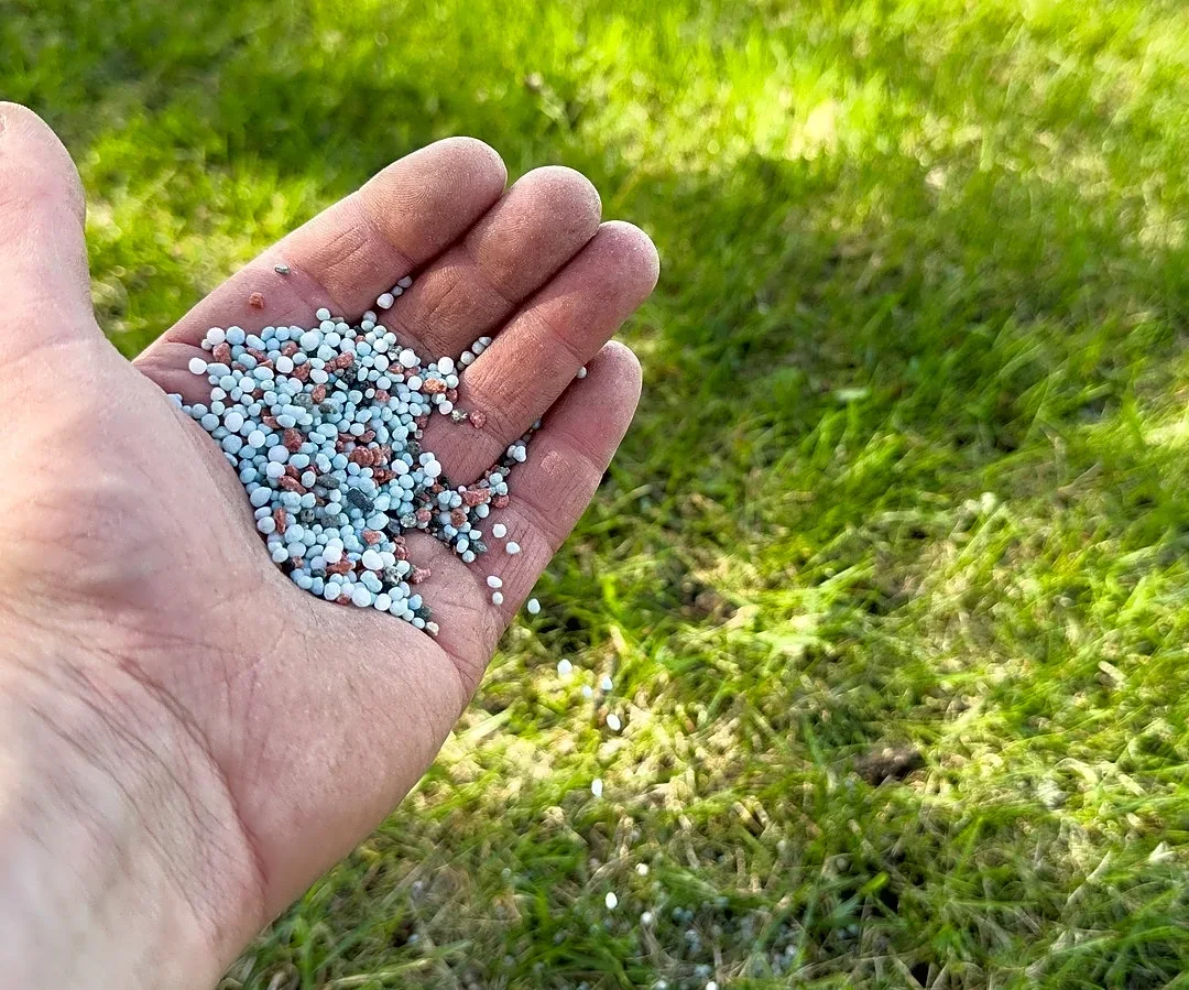 Quicker Than Using Your Hands: The Easy-To-Use Tool On Amazon For Spreading Seeds & Fertilizer